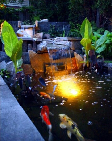 Fountain with Evening Illumination