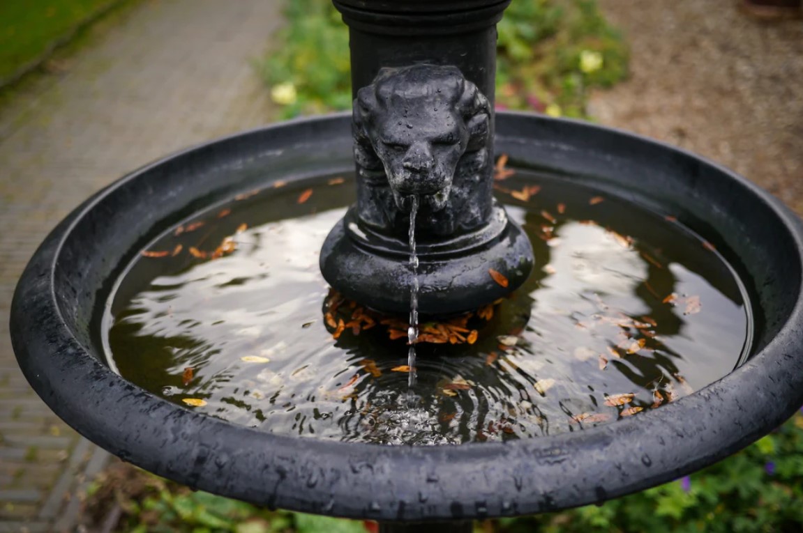 Fountain with Evening Illumination