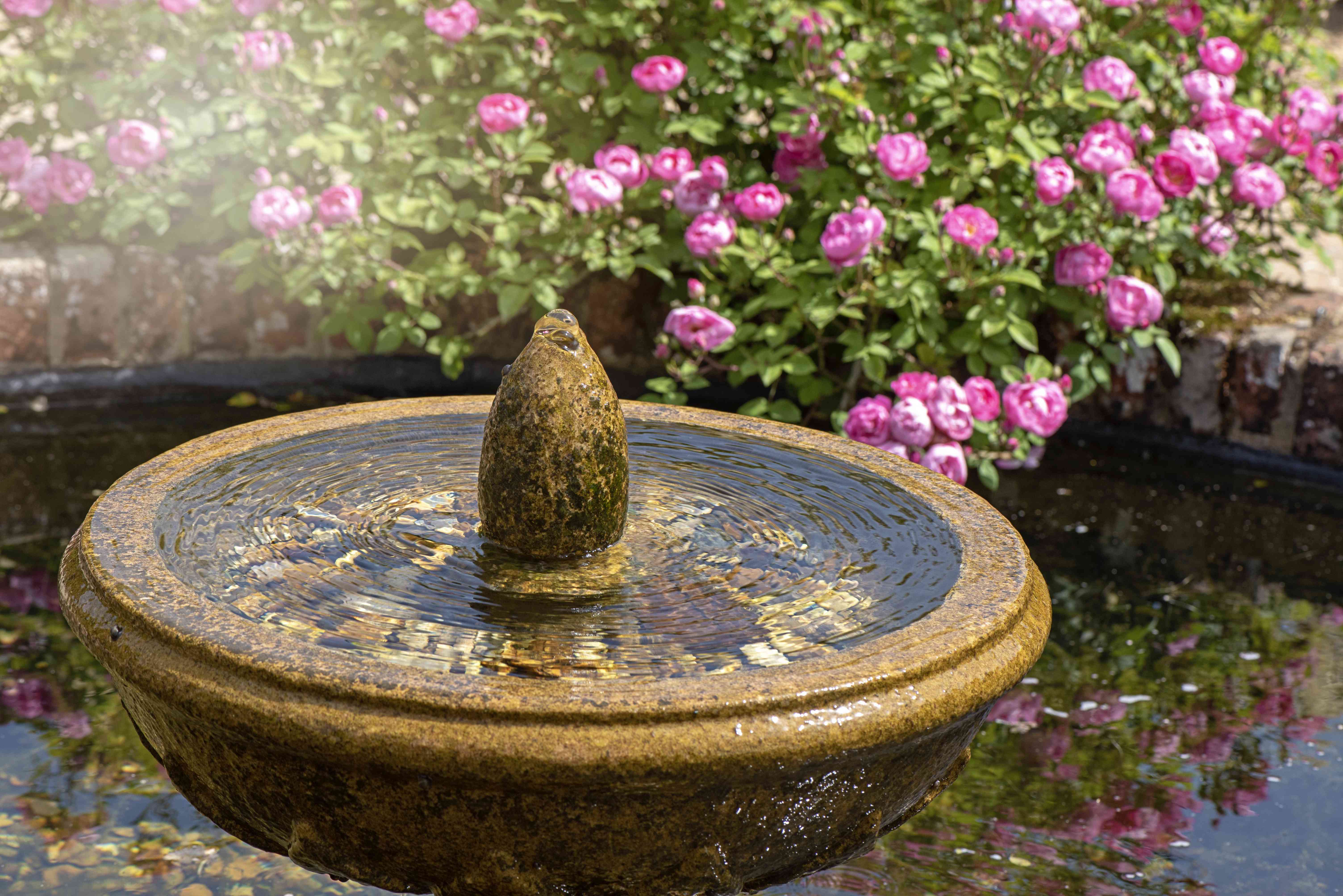 Fountain with Evening Illumination