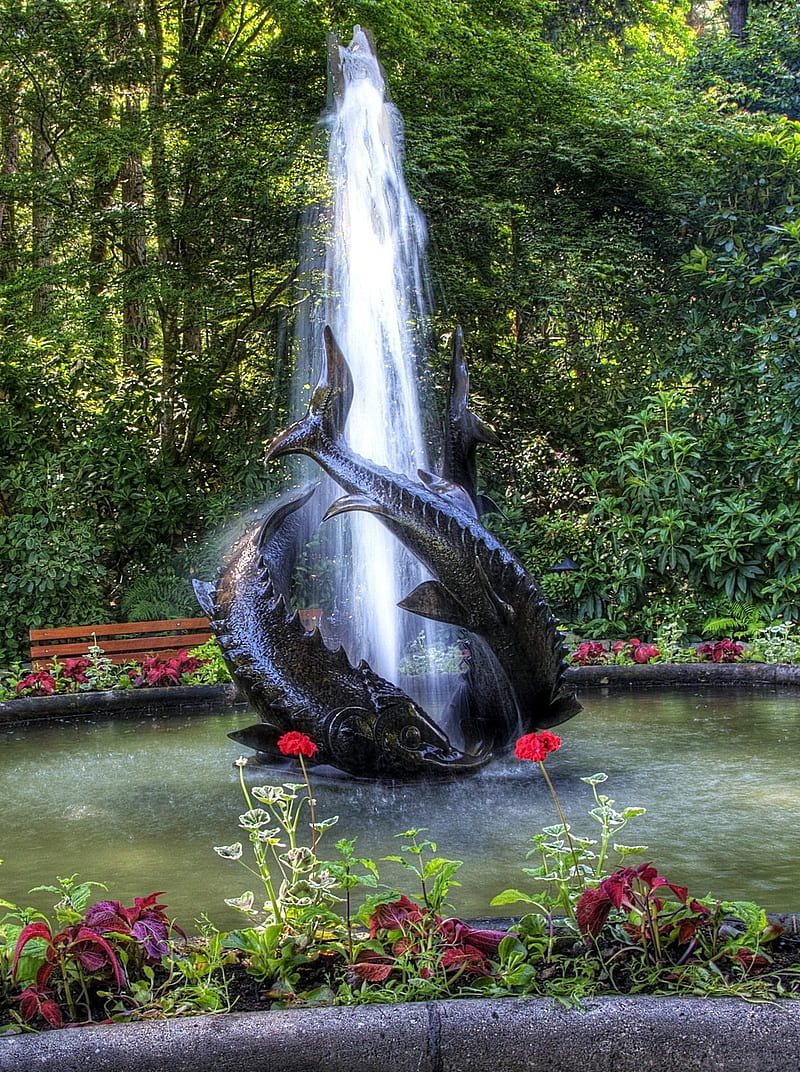 Fountain with Evening Illumination